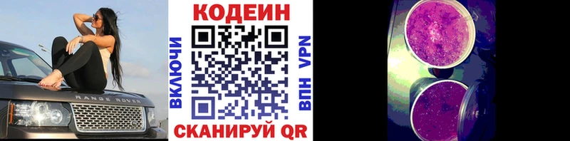 дарк нет состав Долгопрудный kraken Кодеиновый сироп Lean Purple Drank купить наркотик