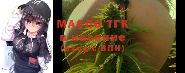 соль ск Новозыбков