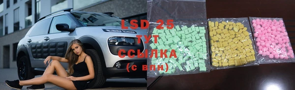 соль ск Новозыбков