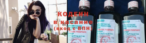 соль ск Новозыбков