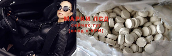 соль ск Новозыбков