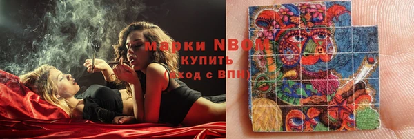 соль ск Новозыбков