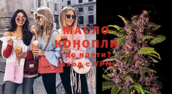 соль ск Новозыбков