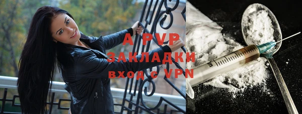 соль ск Новозыбков