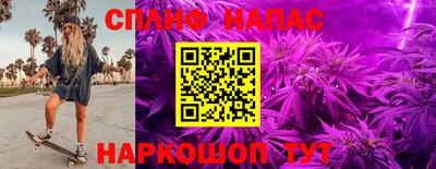 a pvp Будённовск