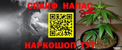 стаф Гусиноозёрск
