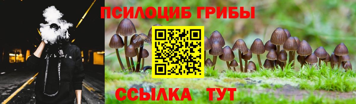 Долгопрудный  Галлюциногенные грибы MAGIC MUSHROOMS  Псилоцибиновые грибы мухоморы  купить закладку  Вход с VPN 